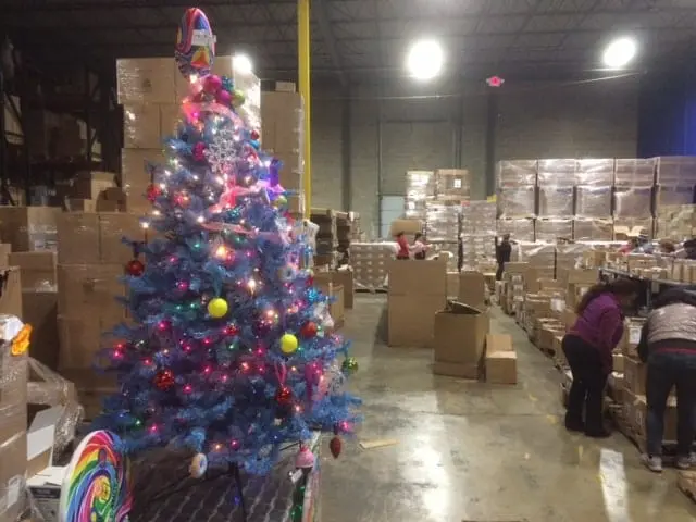 Christmas Tree in Warehouse