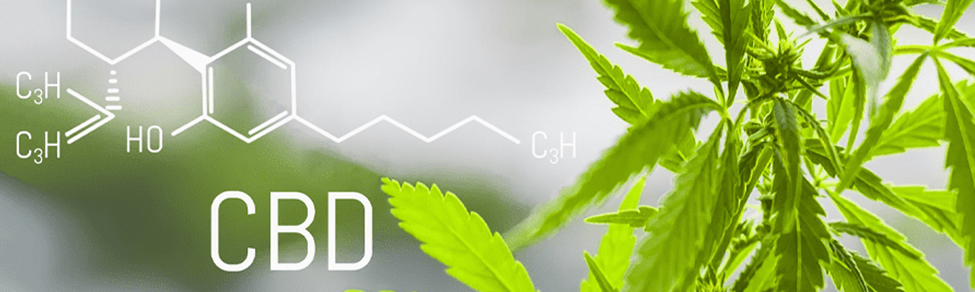 CBD and Supplements